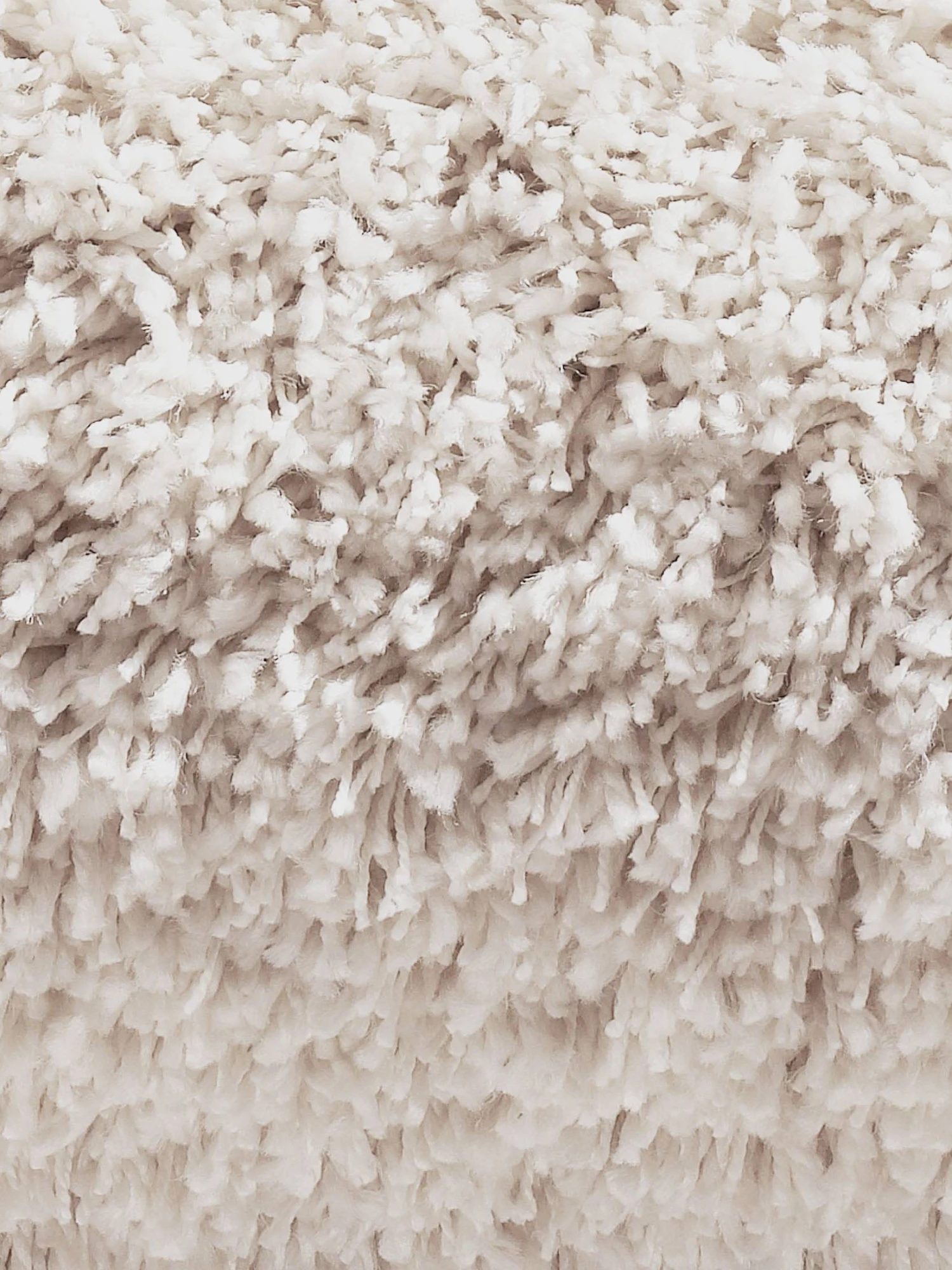 Langflor-Teppichboden, Creme 6 Langflor-Teppichboden, Creme - Image 4