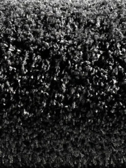 Hochflor-Teppich, Anthrazit -Teppiche Verkaufe 4334 16208 Halbrolle