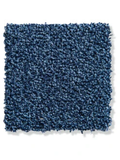 Velours-Teppichboden, Royal 710 -Teppiche Verkaufe Aberdeen Veloursteppichboden blau Royal710 lup