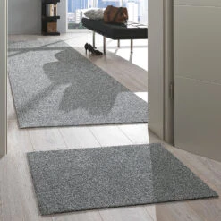 Sauberlaufmatte, Gletscher