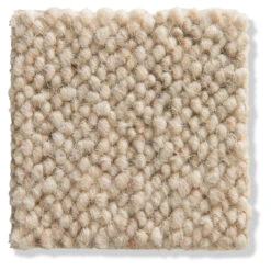 Woll-Teppichboden, Sand -Teppiche Verkaufe Auckland Wollteppichboden dunkelbeige sand87 10x10 lup