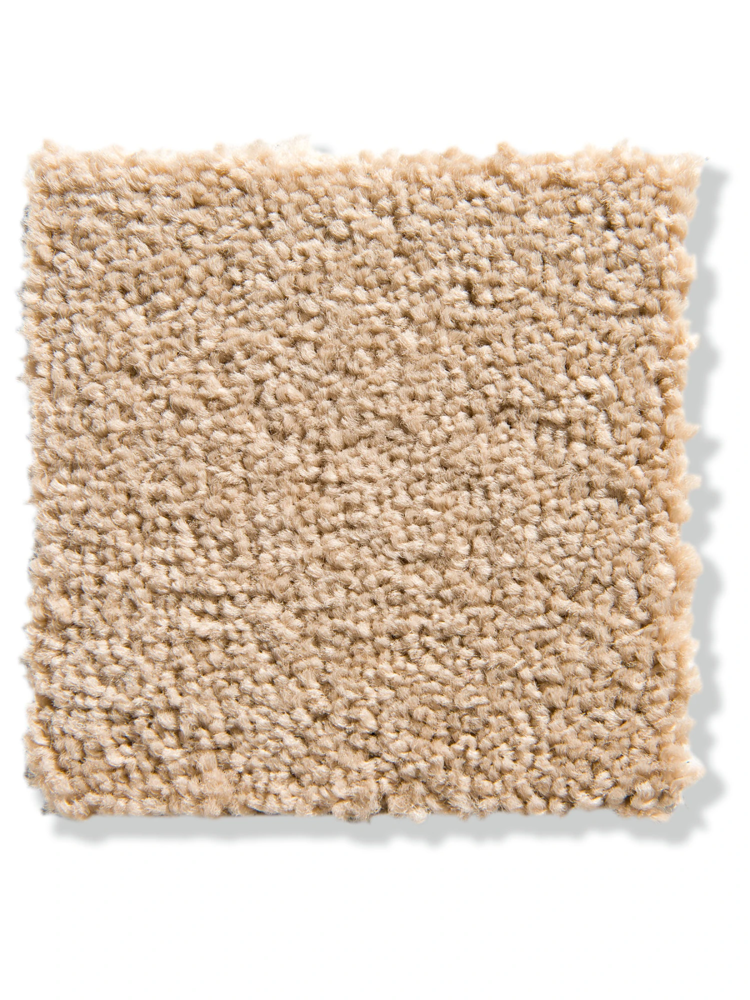 Velours-Teppichboden, Ivory 72 4 Velours-Teppichboden, Ivory 72 - Image 2