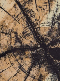 Leinwandbild, Dunkelgelb -Teppiche Verkaufe Baumstamm Leinwandbild braun Dunkelgelb 60x90 lup3