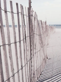 Leinwand Druck, Grau -Teppiche Verkaufe Beach Druck Grau 50x55 lup2