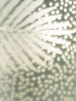 Teelichthalter, Hellgrün -Teppiche Verkaufe BlaetterLightUp Teelichthalter Hellgruen 12x12x18 lup2