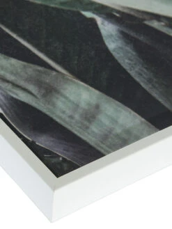 Leinwand-Druck-gerahmt, Grün -Teppiche Verkaufe Botanik Druckgerahmt Gruen 50x70 lup2