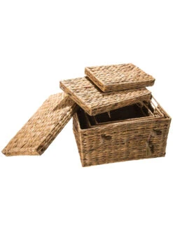 Box, Natur -Teppiche Verkaufe BoxTrunk Box Hellbraun Natur set2