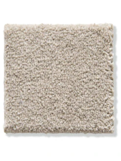 Teppiche Verkaufe -Teppiche Verkaufe Cirella VeloursTeppichboden Beige Cappuccino33 10x10 lup