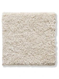 Teppiche Verkaufe -Teppiche Verkaufe Cirella VeloursTeppichboden Beige Creme35 10x10 lup202