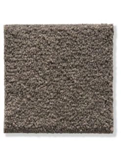 Velours-Teppichboden, Mocca 47 5 Velours-Teppichboden, Mocca 47 -Teppiche Verkaufe Cirella VeloursTeppichboden Braun Mocca47 10x10 lup