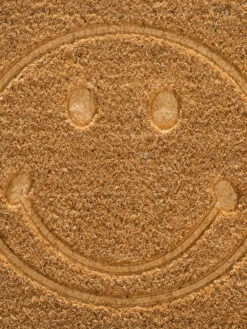 Fußmatte, Beige -Teppiche Verkaufe Coco Fussmatte Braun Beige 40x70 lup