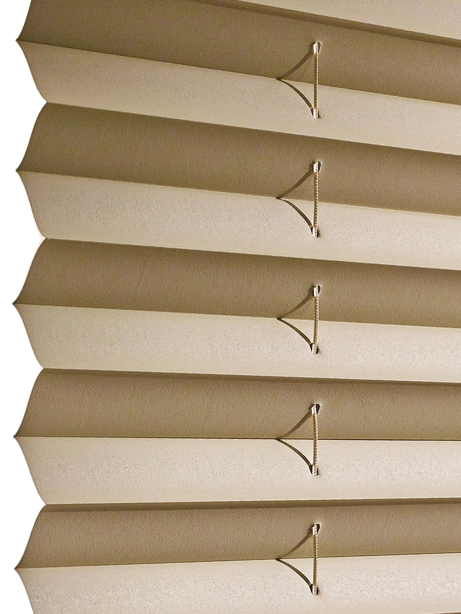 Plissee, Creme 5 Plissee, Creme - Image 3