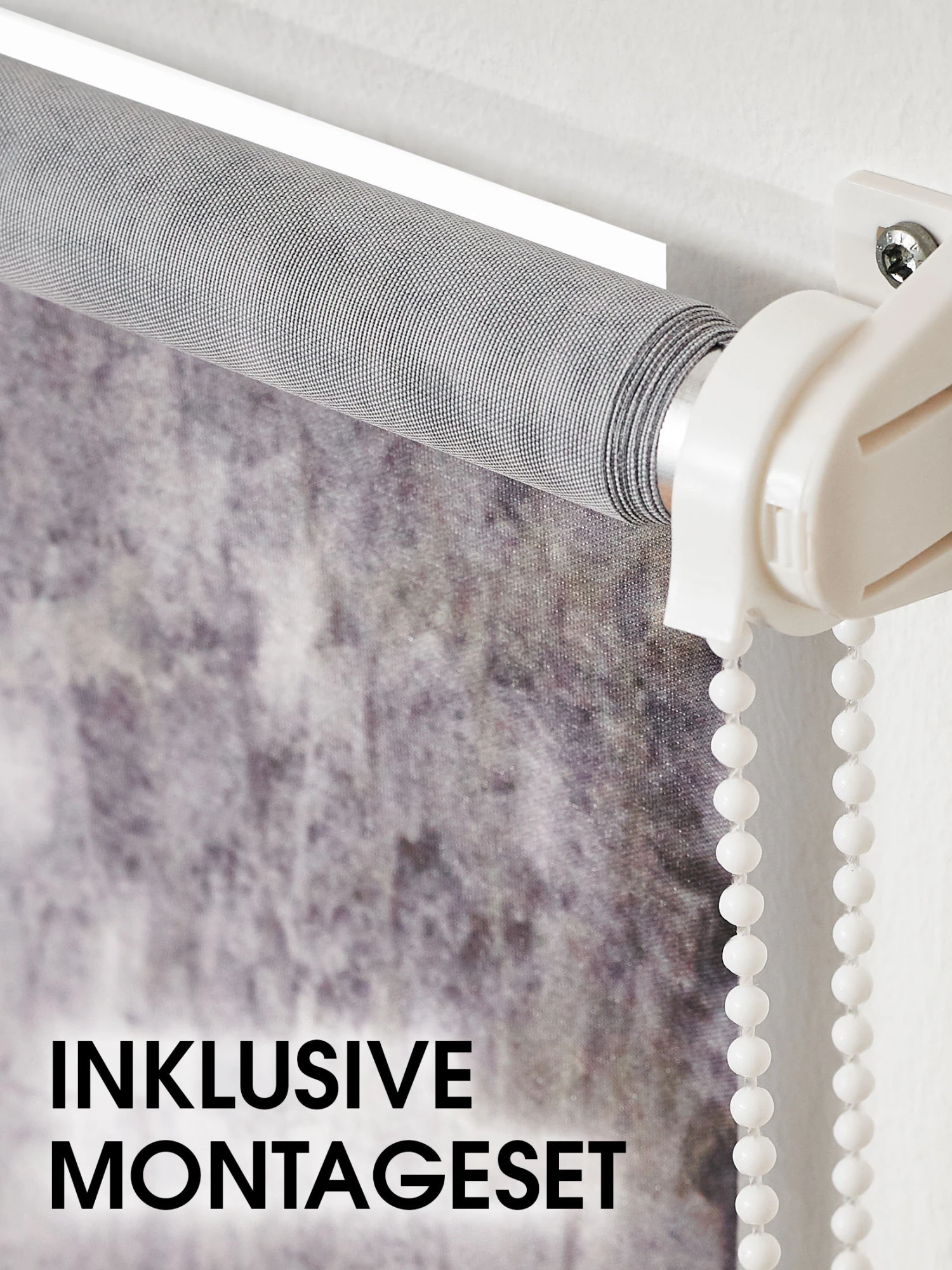 Rollo, Paris 5 Rollo, Paris - Image 3