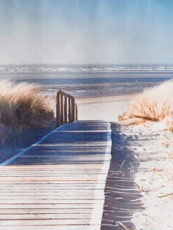 Rollo, Beach -Teppiche Verkaufe DigitalRollo Rollo beige Beach lup