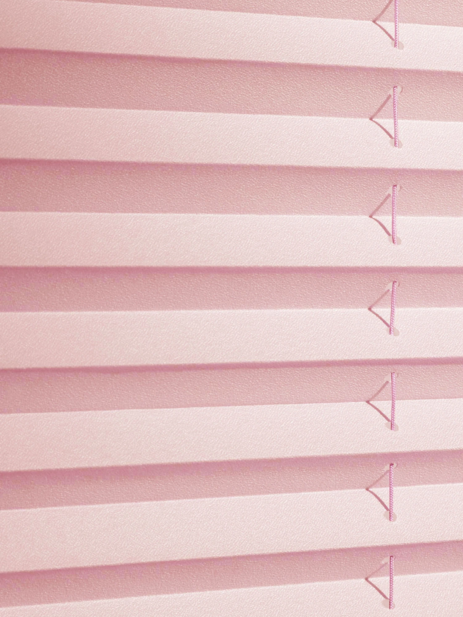 Plissee, Rosé 4 Plissee, Rosé - Image 2