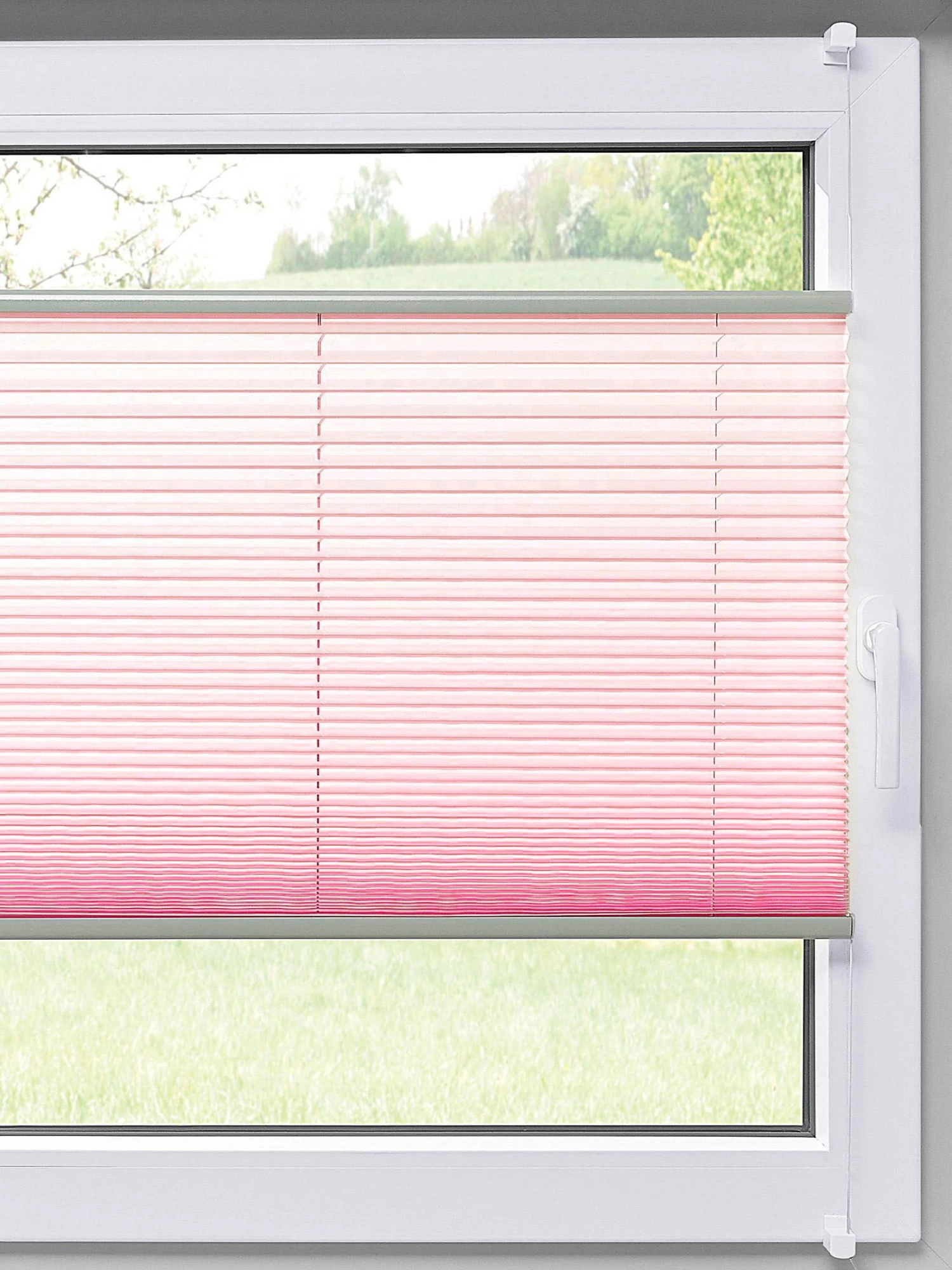 Plissee, Rosé 3 Plissee, Rosé