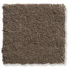 Velours-Teppichboden, Taupe 76 -Teppiche Verkaufe Edinburgh Veloursteppichboden dunkelbraun silver76 lup