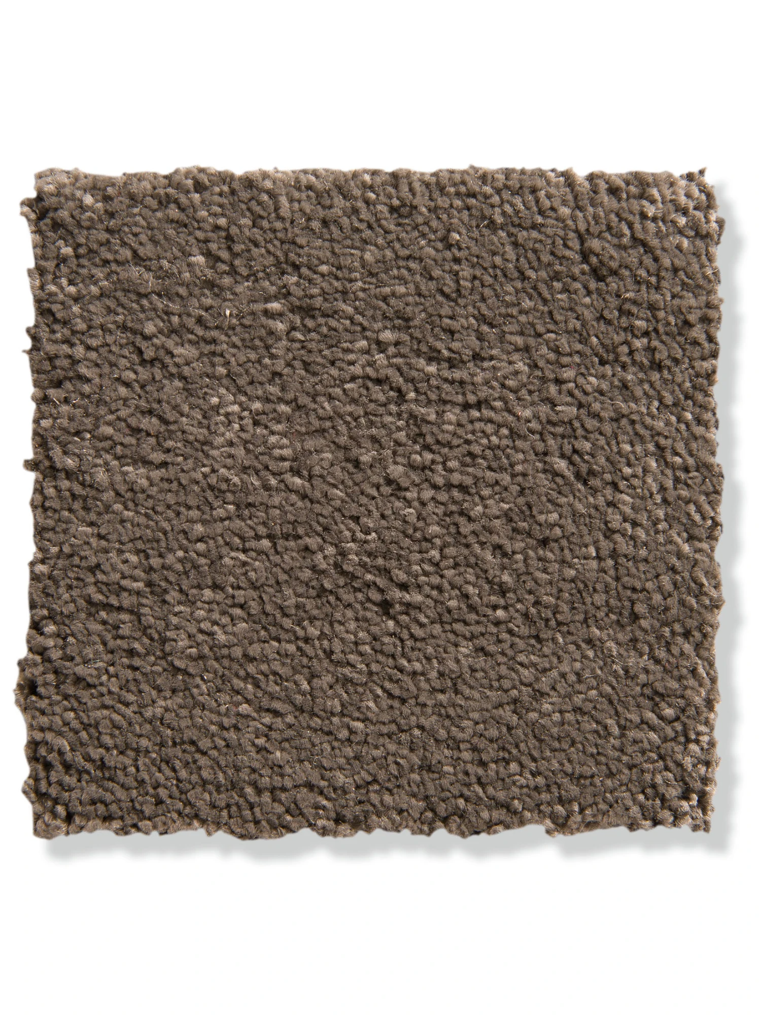 Velours-Teppichboden, Taupe 76 3 Velours-Teppichboden, Taupe 76