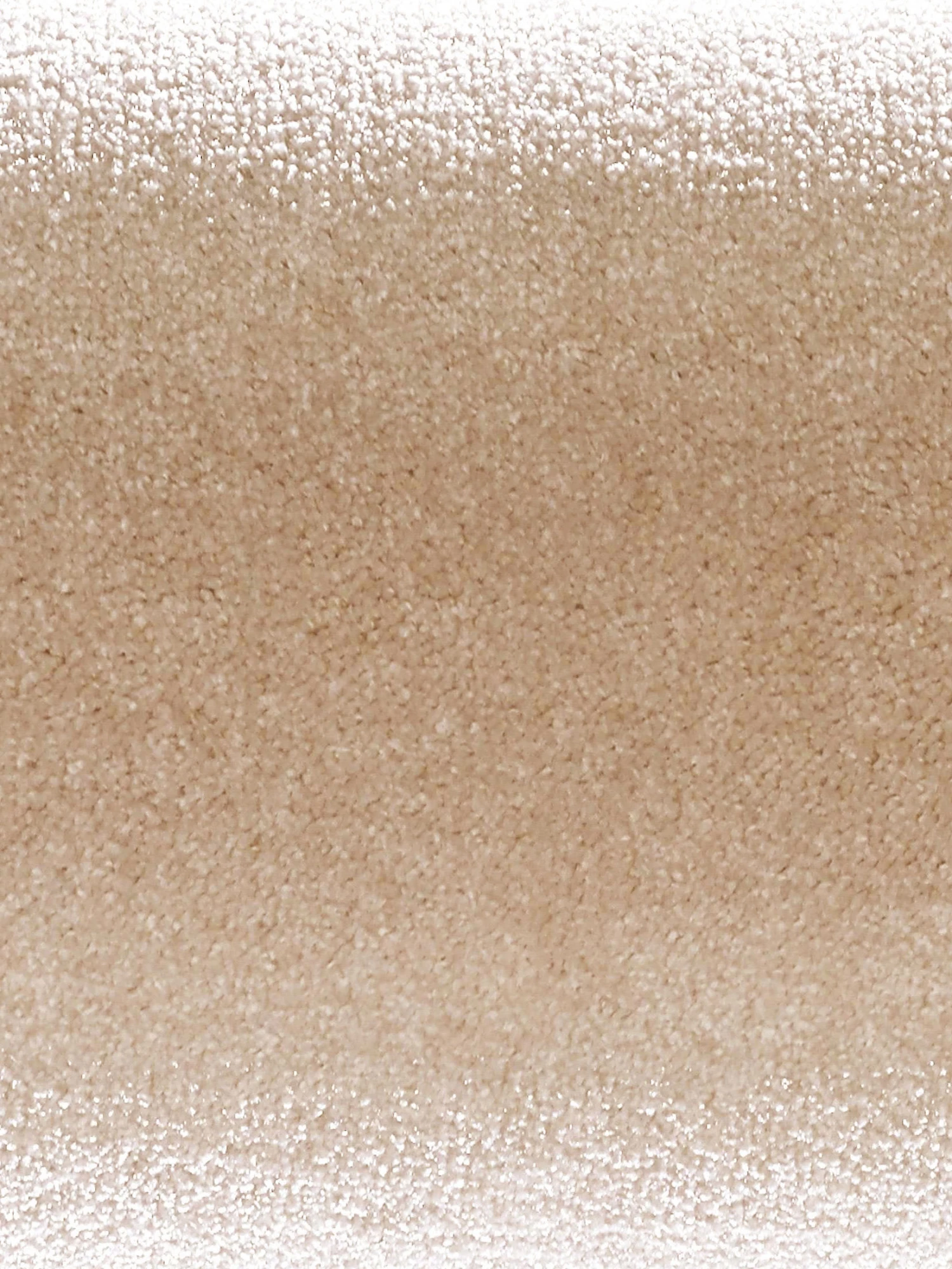 Velours-Teppichboden, Ivory 34 7 Velours-Teppichboden, Ivory 34 - Image 5