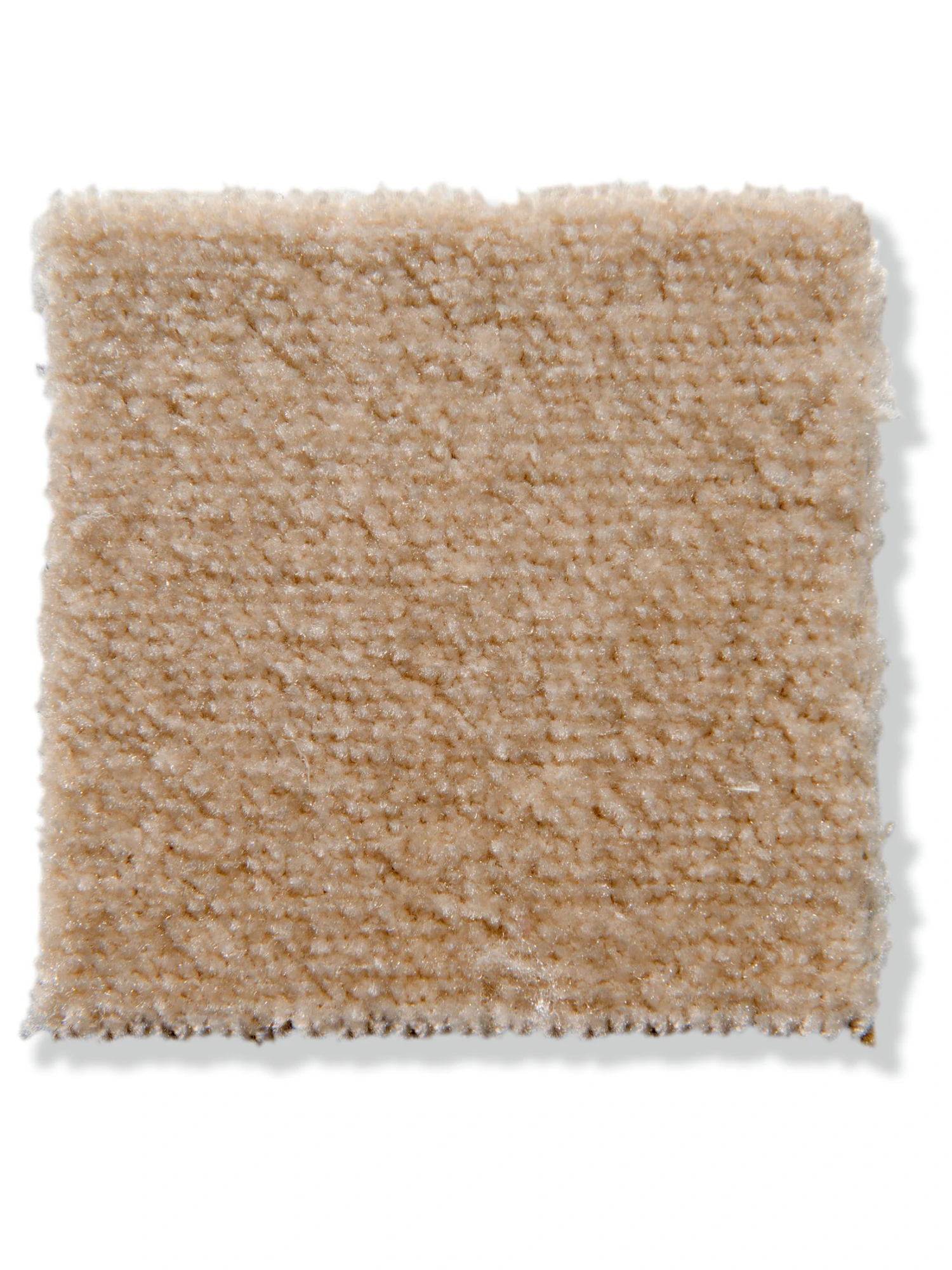 Velours-Teppichboden, Ivory 34 6 Velours-Teppichboden, Ivory 34 - Image 4