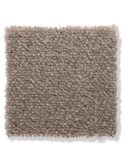 Velours-Teppichboden, Taupe 49 -Teppiche Verkaufe Emotion Veloursteppichboden graubeige taupe49 lup2
