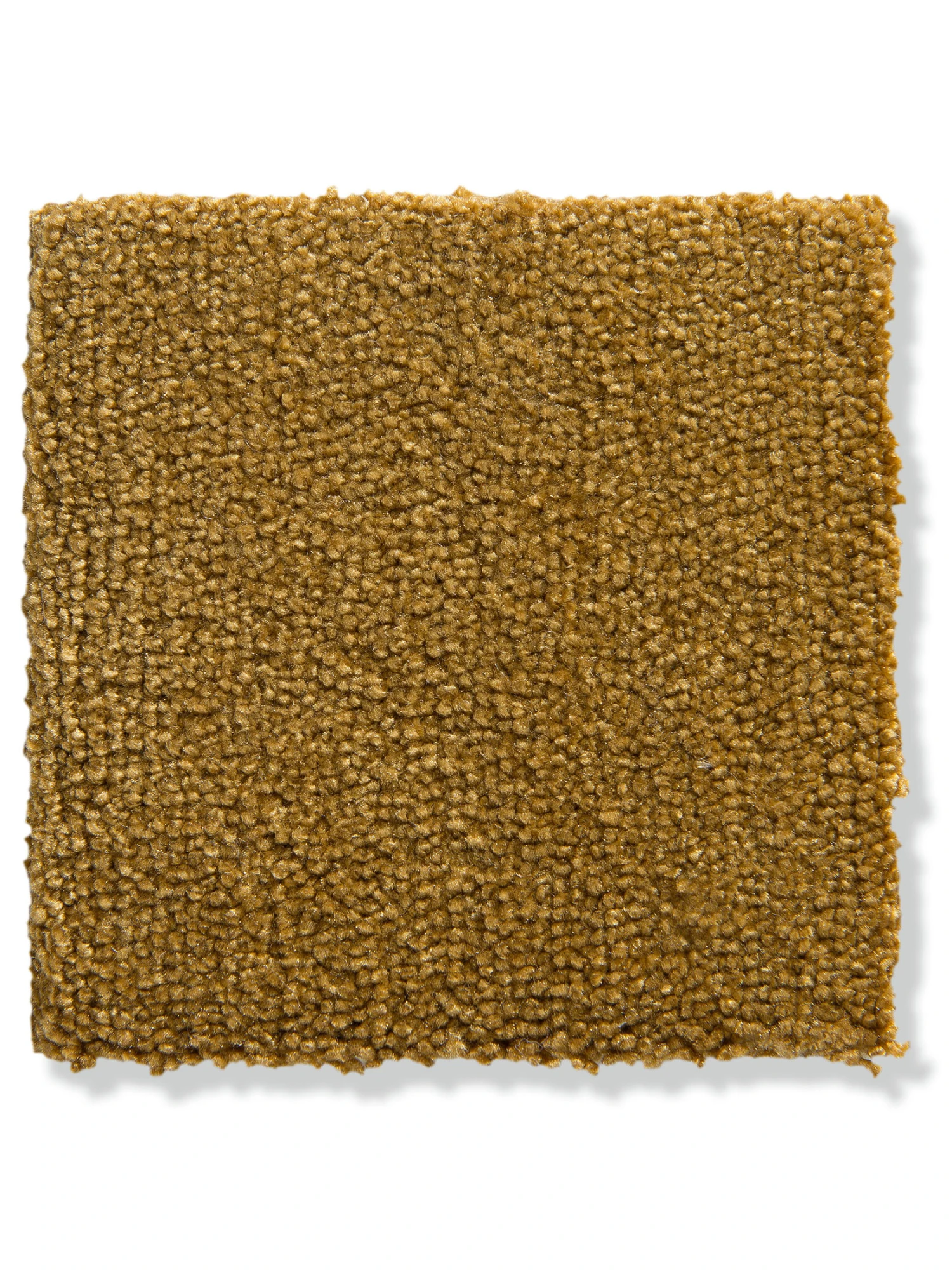 Velours-Teppichboden, Gold 50 3 Velours-Teppichboden, Gold 50