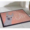 Fußmatte, Hello Lama -Teppiche Verkaufe Fashion Fussmatte rosa HelloLama 50x80 mil