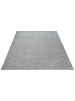 Hochflor-Teppich, Light Grey -Teppiche Verkaufe Fiesta HochflorTeppich Hellgrau LightGrey 160x230 fper