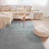 Hochflor-Teppich, Light Grey -Teppiche Verkaufe Fiesta HochflorTeppich Hellgrau LightGrey 160x230 mil