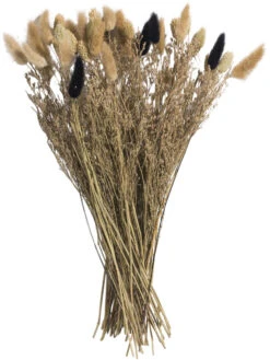 Trockenblume, Natural