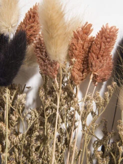 Trockenblume, Multicolor -Teppiche Verkaufe Flowerbouquet Trockenblume Mehrfarbig Multicolor 40 lup