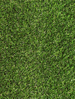 Rasen-Teppichboden, Grün -Teppiche Verkaufe Garden Kunstrasen Gruen lup1