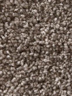 Uni-Teppich, Taupe -Teppiche Verkaufe Hardy Hochflorteppich Braun Taupe 160x230 lup
