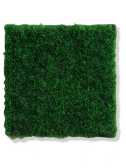 Rasen-Teppichboden, Moos