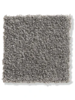 Velours-Teppichboden, Silber 95 -Teppiche Verkaufe Kai Veloursteppichboden grau Silber95 10x10 lup