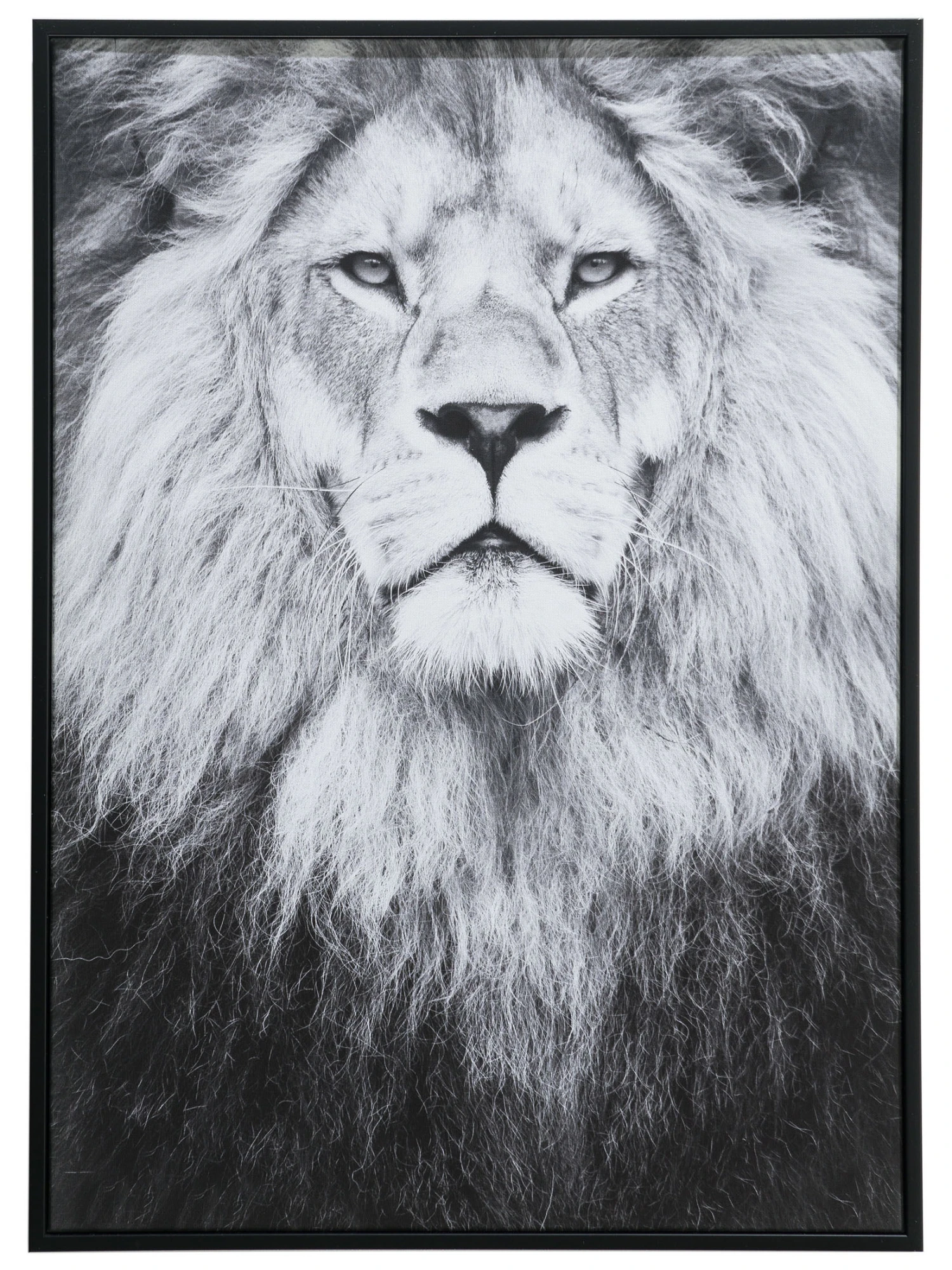 Leinwand-Druck-gerahmt, Schwarz/Grau 4 Leinwand-Druck-gerahmt, Schwarz/Grau - Image 2