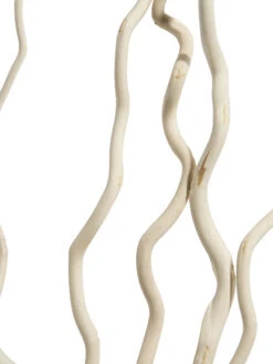 Trockenblume, Weiss -Teppiche Verkaufe Kuwastaebe Trockenblume Weiss 80cm lup