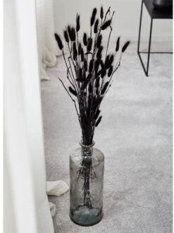Trockenblume, Schwarz -Teppiche Verkaufe Lagurus Trockenblume Schwarz 75cm mil