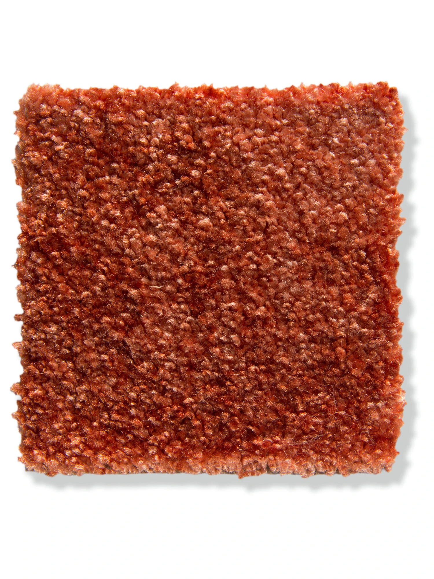 Velours-Teppichboden, Terra 84 4 Velours-Teppichboden, Terra 84 - Image 2