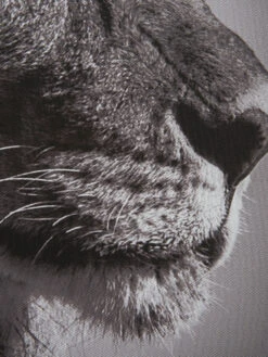 Leinwand-Druck-gerahmt, Dunkelgrau -Teppiche Verkaufe Lionhead Druckgerahmt Grau Dunkelgrau 50x70 lup