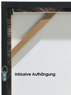 Leinwand-Druck-gerahmt, Braun -Teppiche Verkaufe Loewenkoenig Druckgerahmt Braun 50x70 ruk