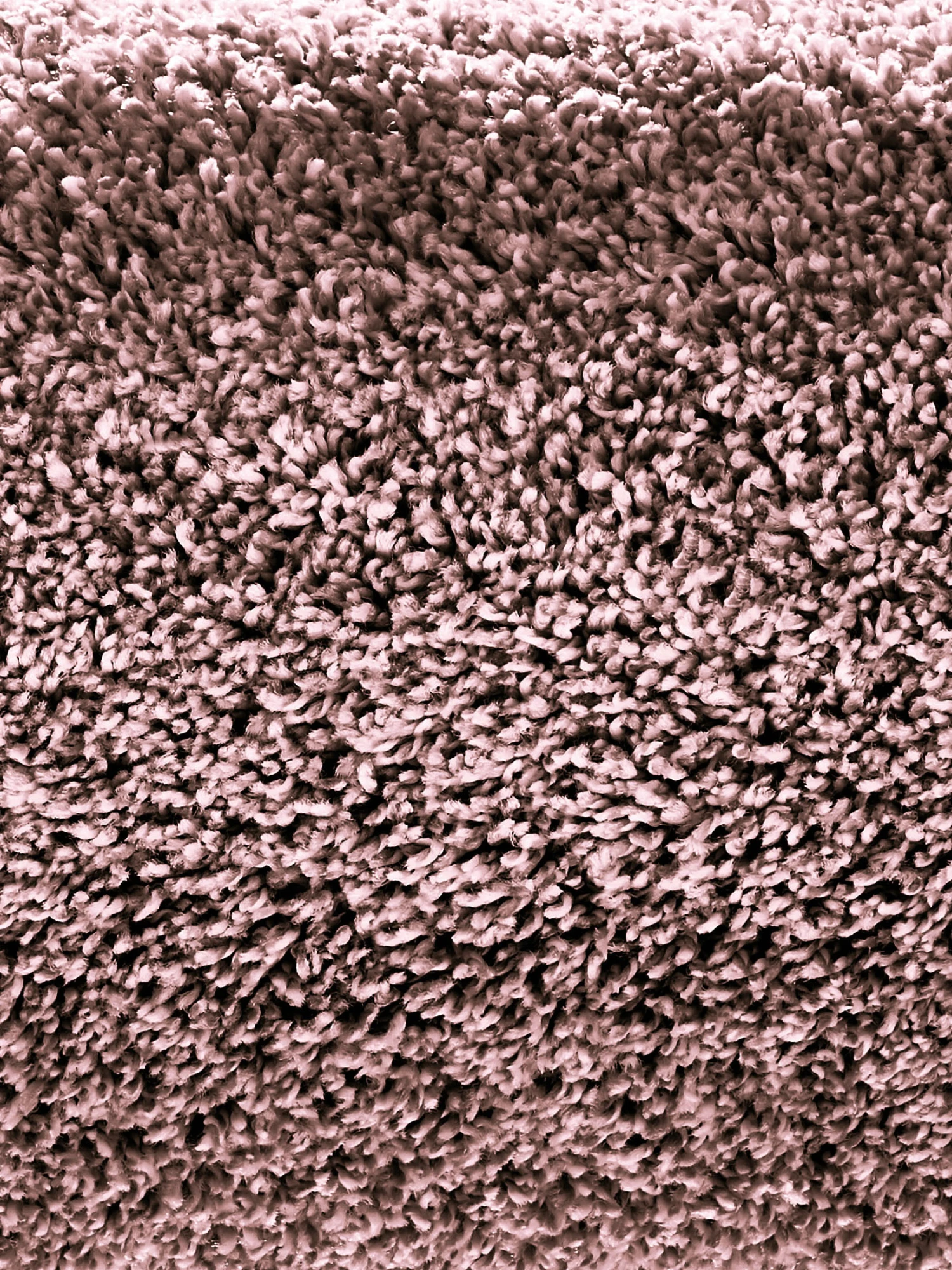 Hochflor-Teppich, Beere 6 Hochflor-Teppich, Beere - Image 4