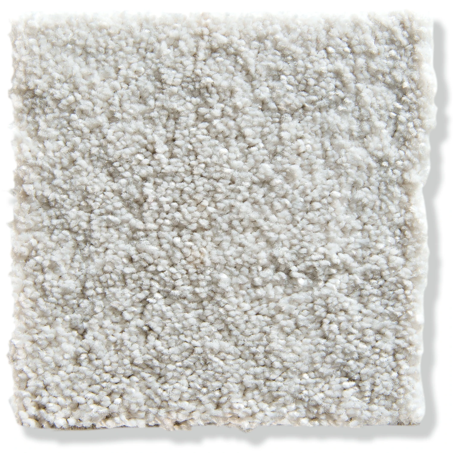 Velours-Teppichboden, Lichtgrau 09 4 Velours-Teppichboden, Lichtgrau 09 - Image 2