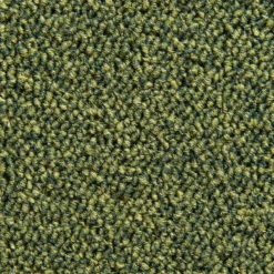 Schlingen-Teppichboden, Hellgrün -Teppiche Verkaufe Optimal SchlingenTeppichboden Gruen Hellgruen21 lup1