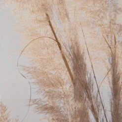 Leinwand-Druck-gerahmt, Weiss 11 Leinwand-Druck-gerahmt, Weiss -Teppiche Verkaufe PampasWind Druckgerahmt Beige Weiss 52x72 lup