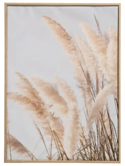 Leinwand-Druck-gerahmt, Weiss 10 Leinwand-Druck-gerahmt, Weiss -Teppiche Verkaufe PampasWind Druckgerahmt Beige Weiss 52x72 pla