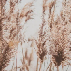 Leinwand-Druck-gerahmt, Dunkelbeige -Teppiche Verkaufe Parat Druckgerahmt Beige Dunkelbeige 52x72 lup