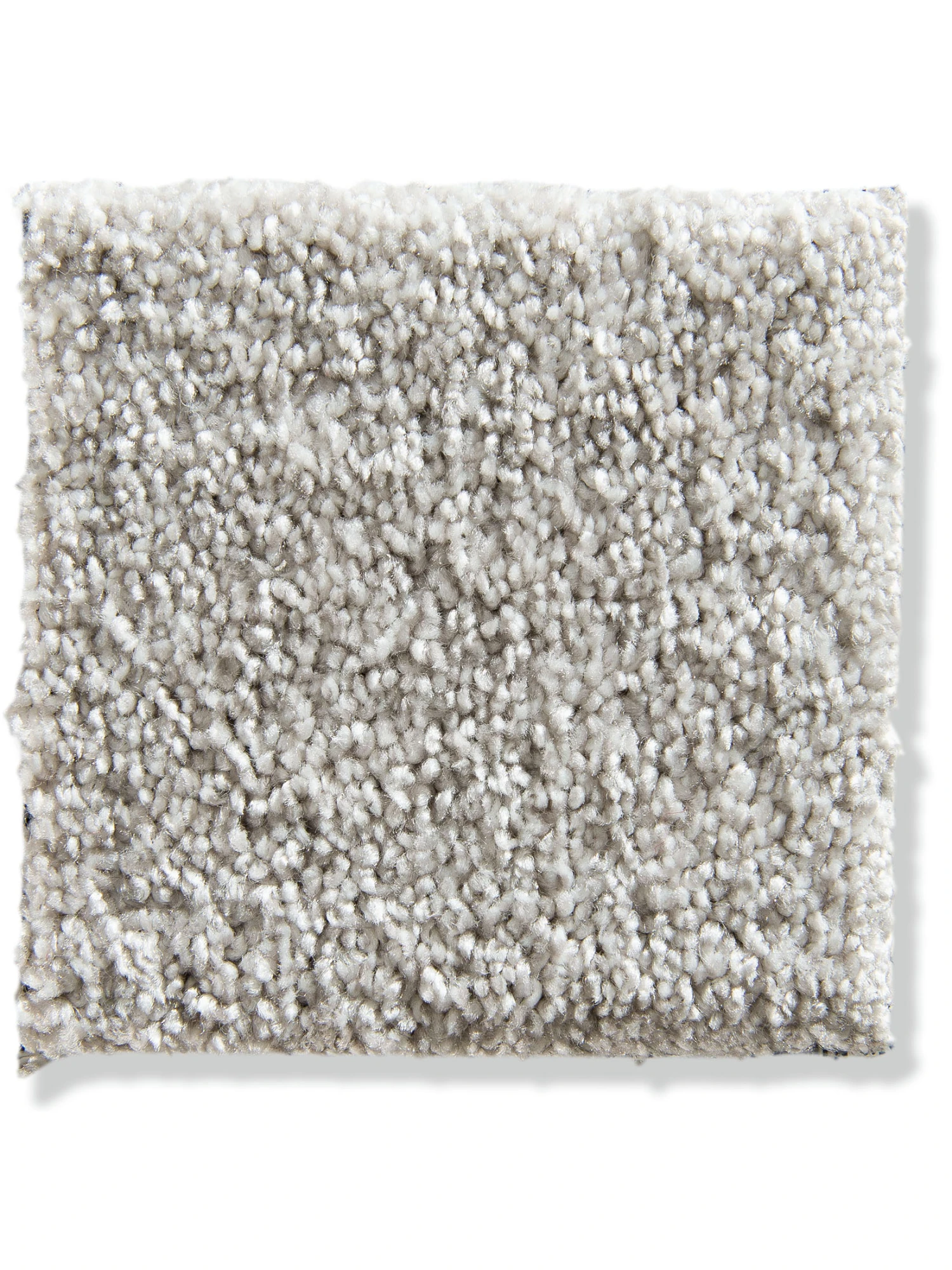 Velours-Teppichboden, Silber 4 Velours-Teppichboden, Silber - Image 2