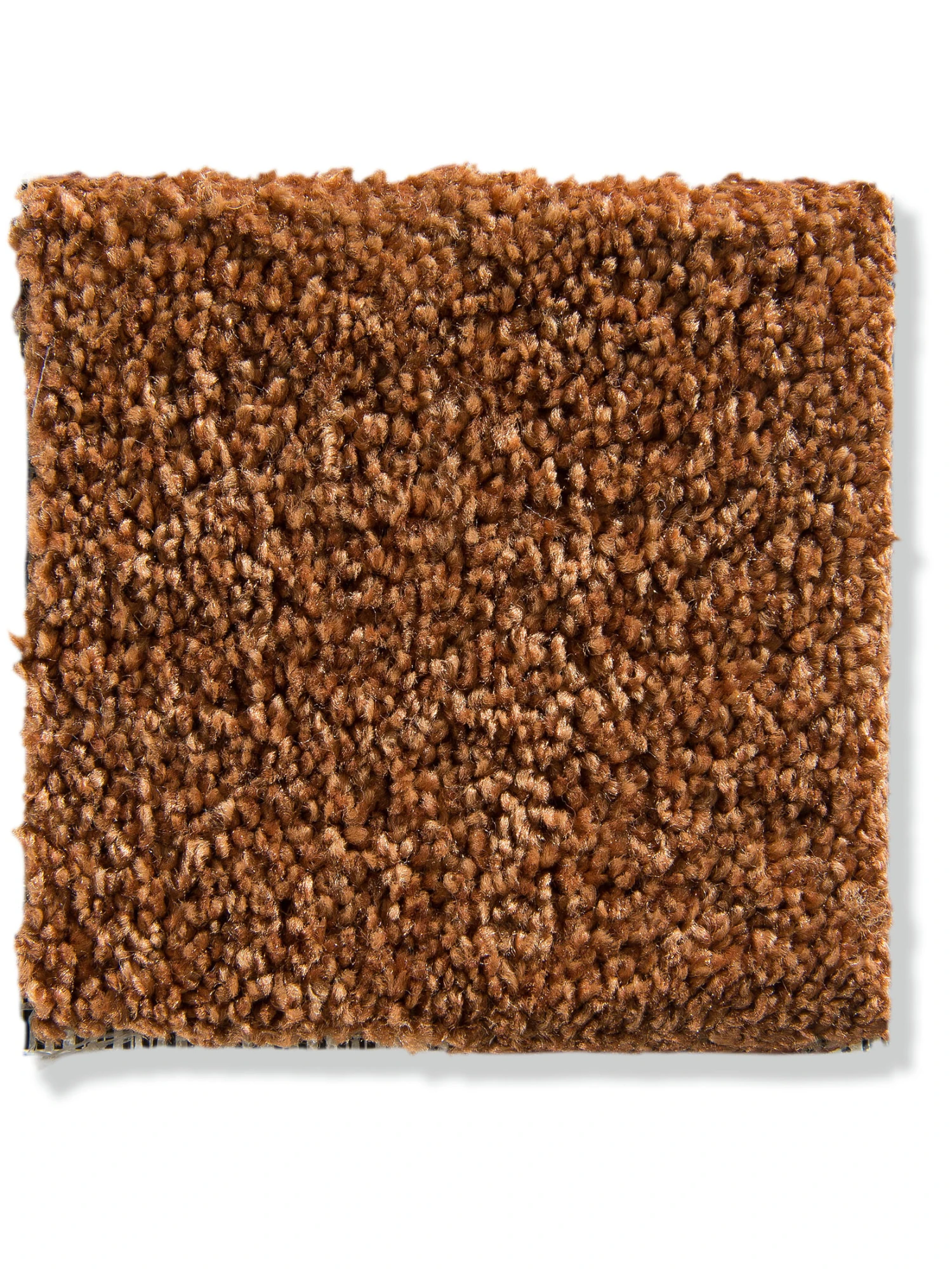 Velours-Teppichboden, Terra 4 Velours-Teppichboden, Terra - Image 2