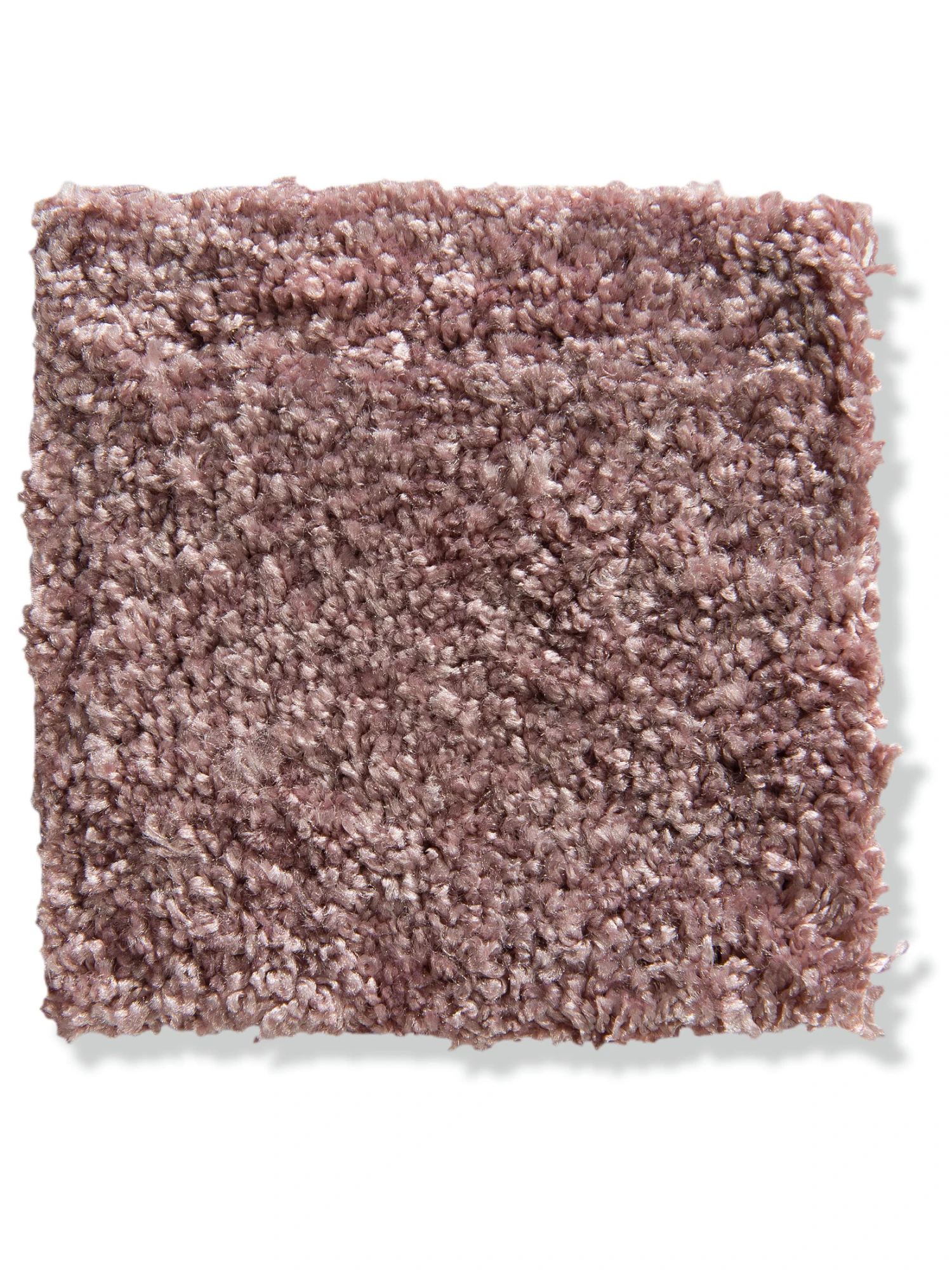 Velours-Teppichboden, Fraise 4 Velours-Teppichboden, Fraise - Image 2